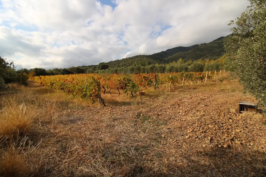 Laboratorio - Image 14