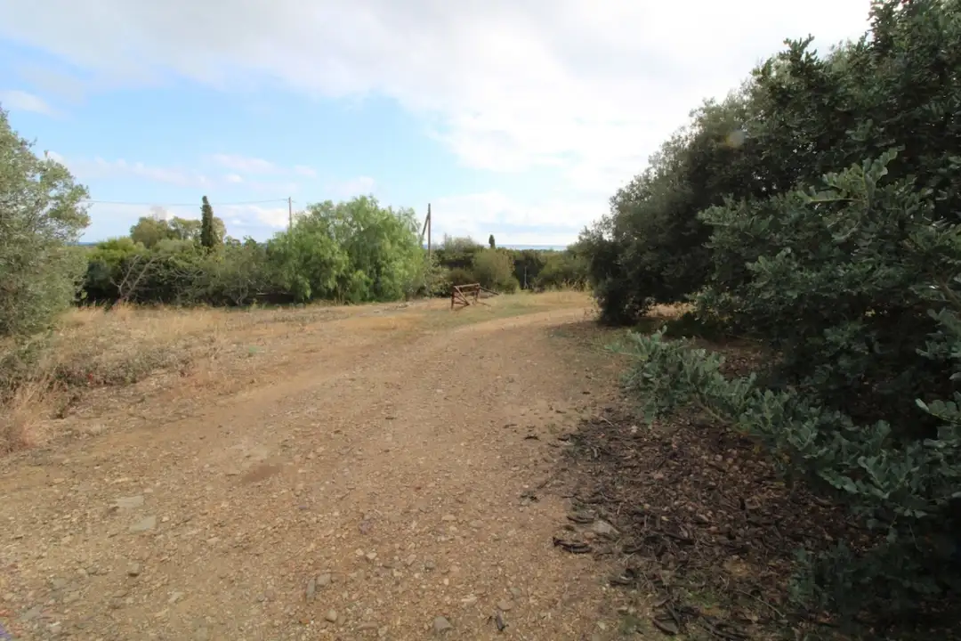 Laboratorio - Image 24