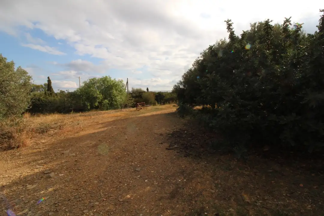 Laboratorio - Image 12