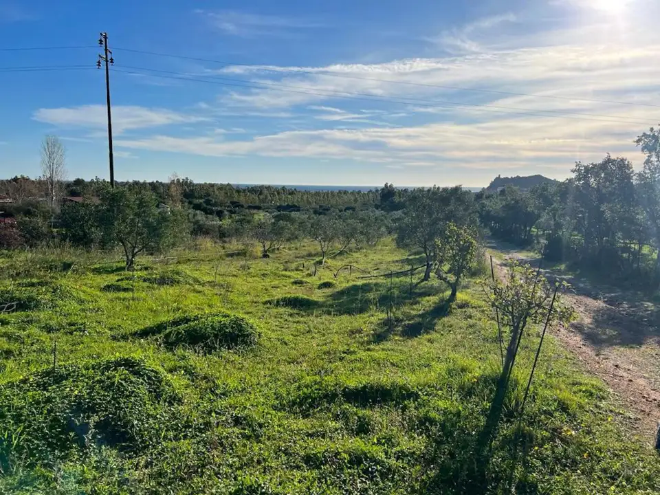 Casa Indipendente - Image 23