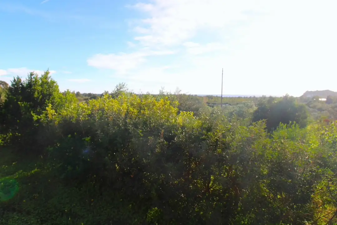 Casa Indipendente - Image 4