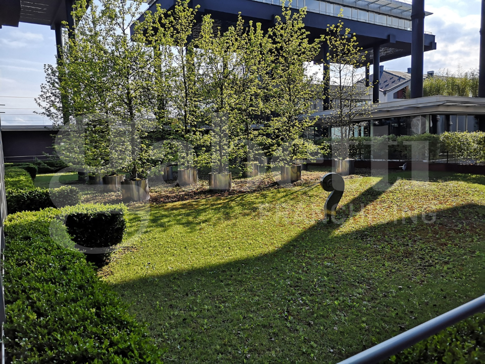 Appartamento - Image 4