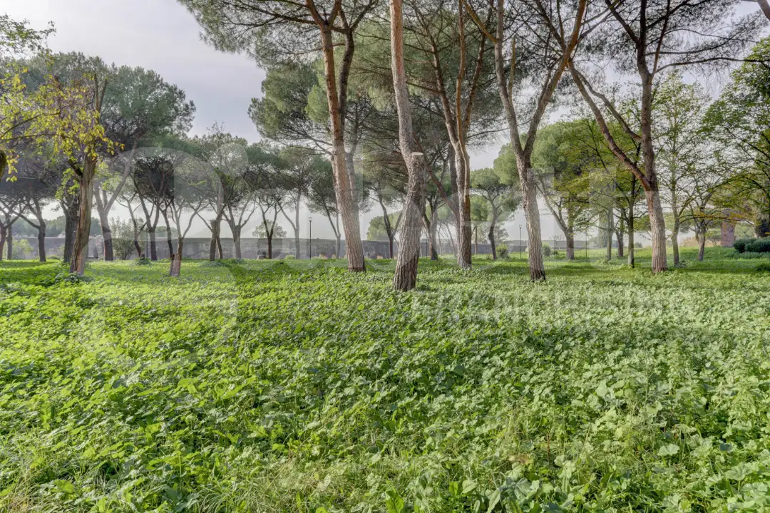 Appartamento - Image 24