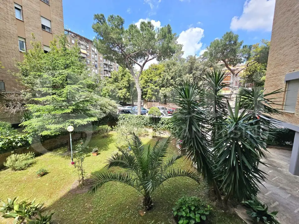 Appartamento - Image 5