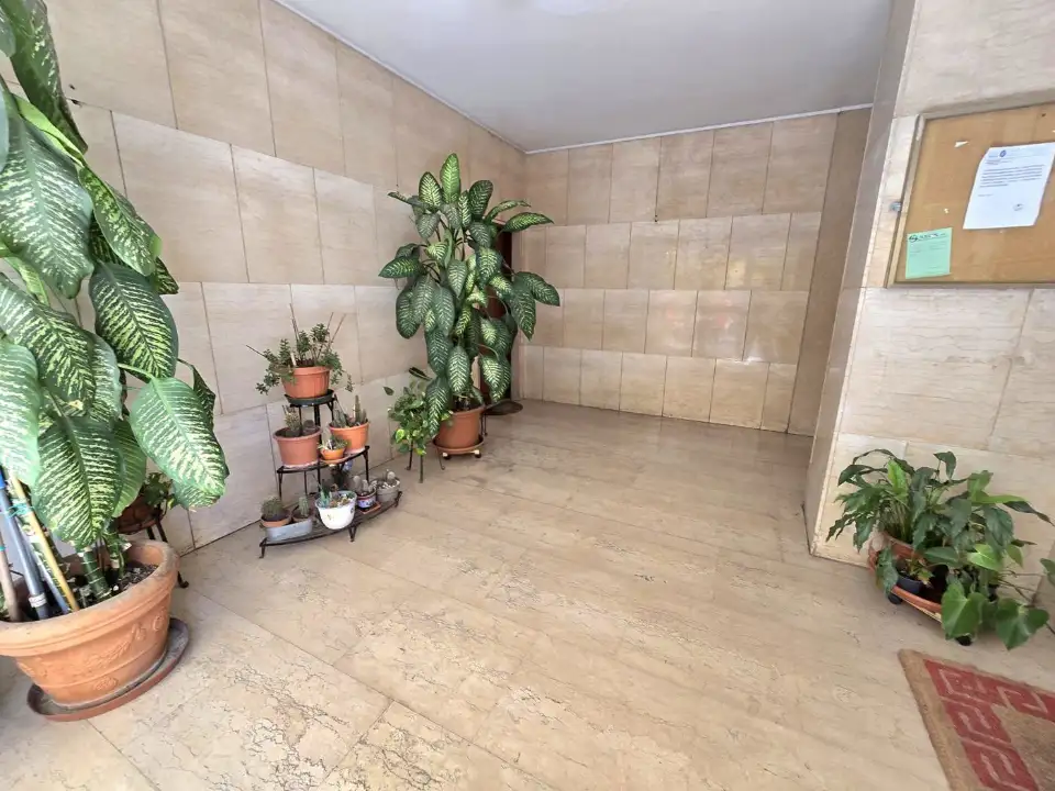 Appartamento - Image 4