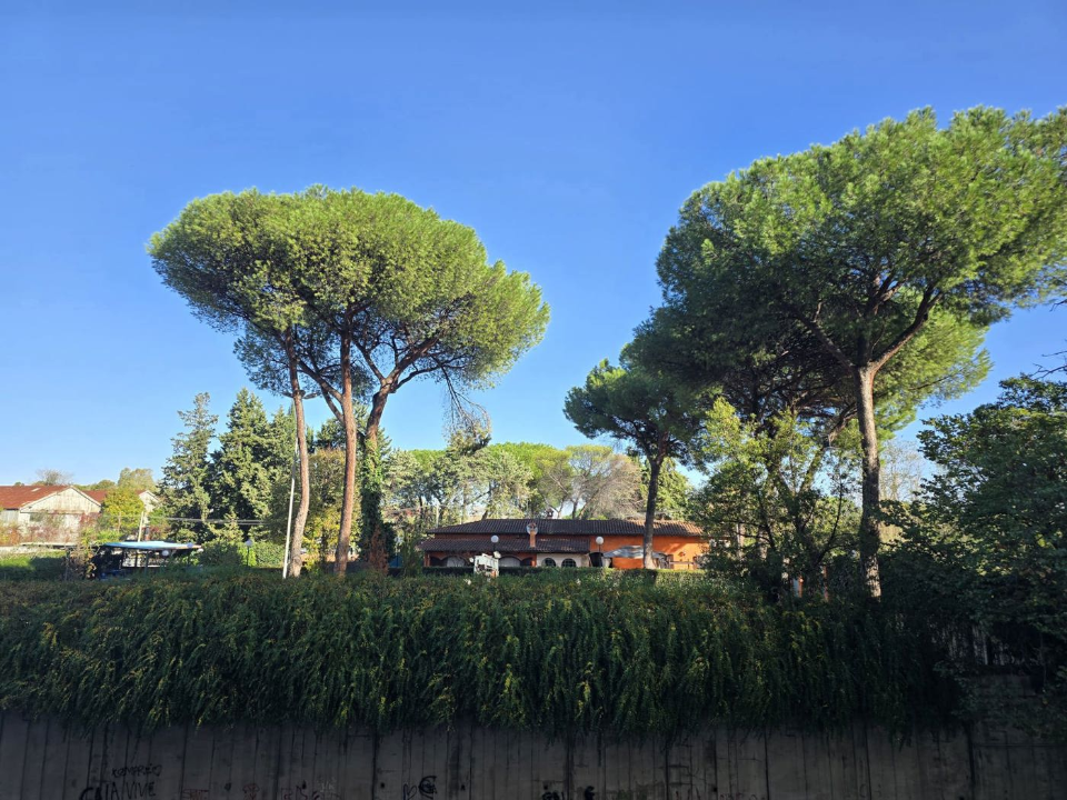 Appartamento - Image 26