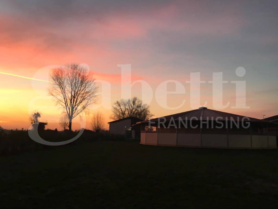 Complesso - Image 15