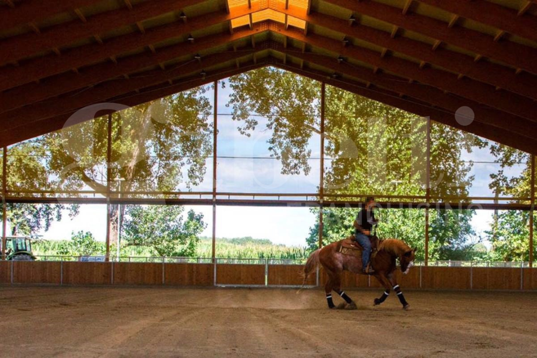 Complesso - Image 18