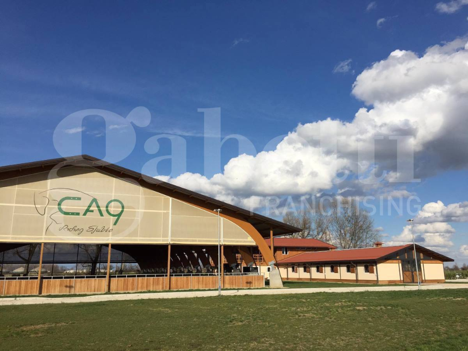 Complesso - Image 17