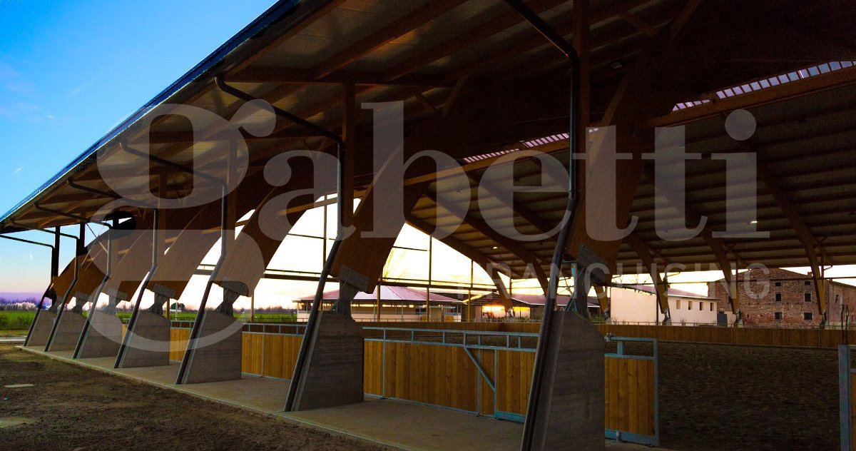 Complesso - Image 14