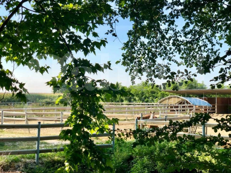 Complesso - Image 19