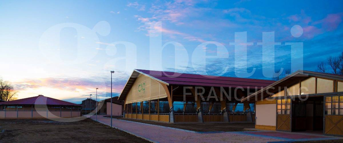 Complesso - Image 11