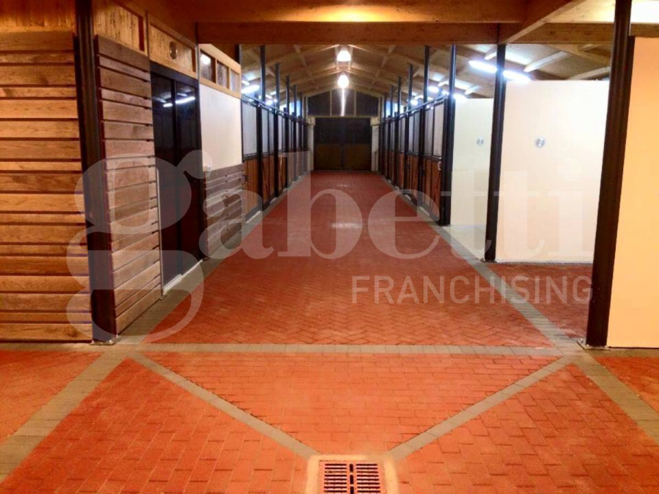 Complesso - Image 22