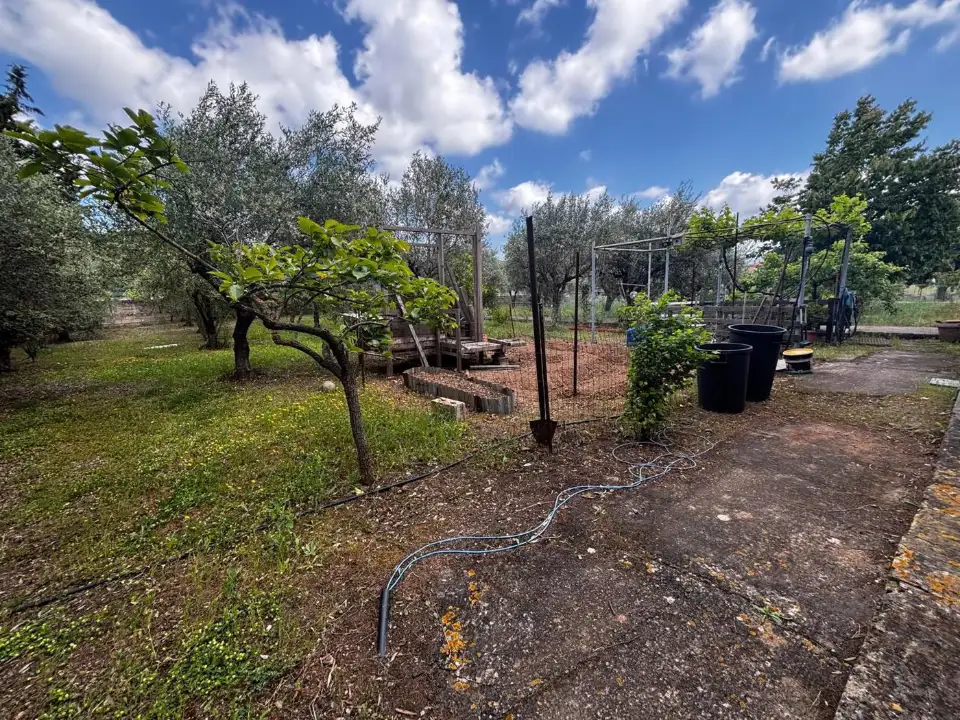 Appartamento - Image 2