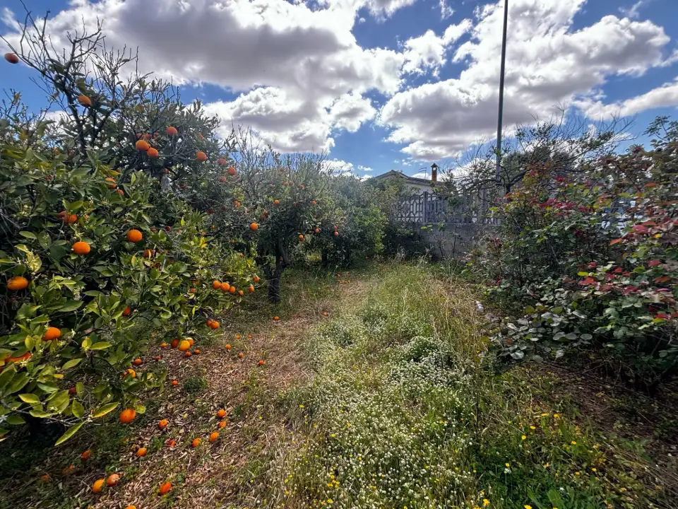 Casa Indipendente - Image 11