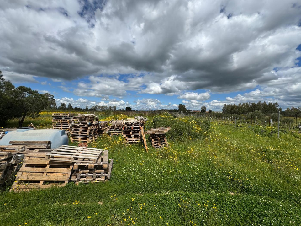 Casa Indipendente - Image 4