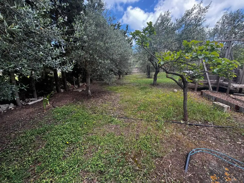 Appartamento - Image 3