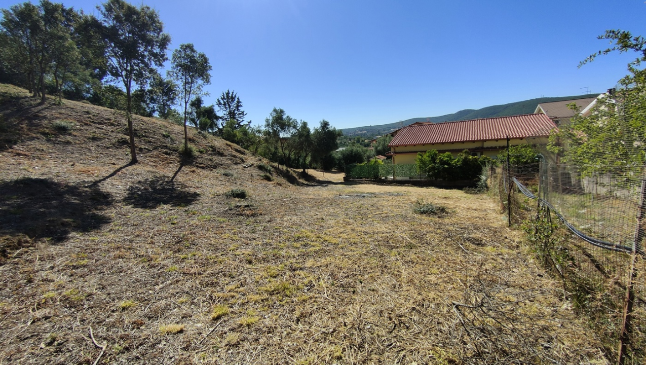 Terreno - Image 7