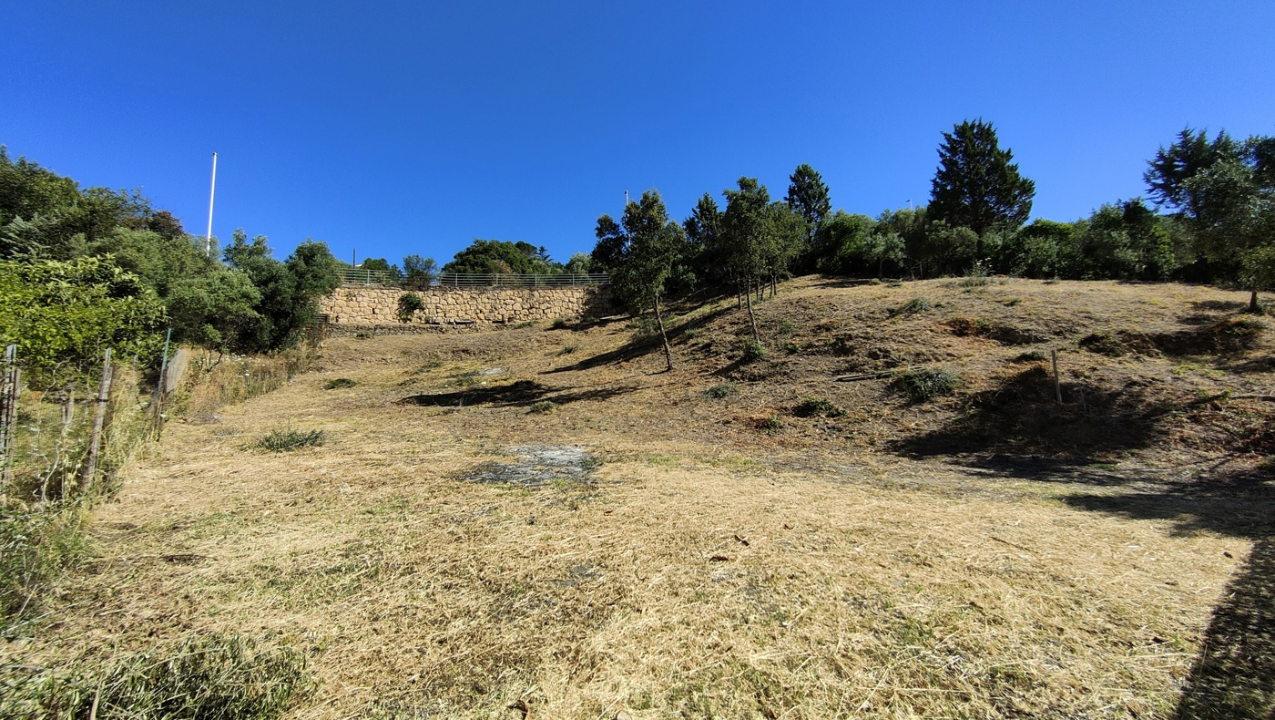 Terreno - Image 1