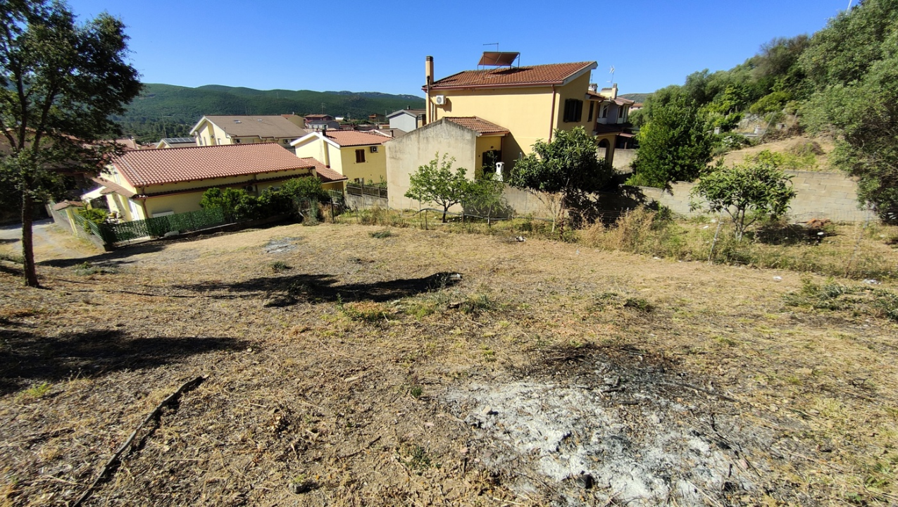 Terreno - Image 6