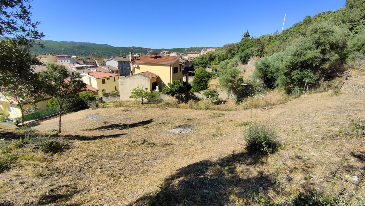 Terreno - Image 11
