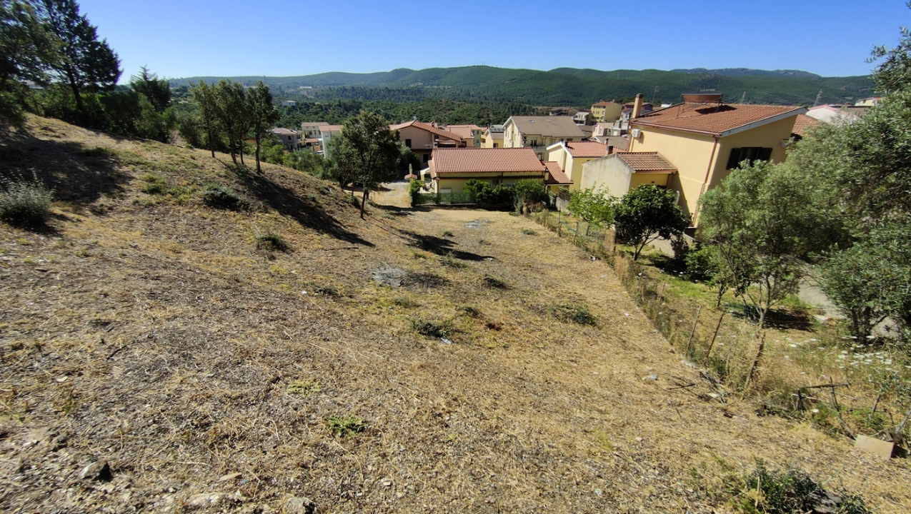 Terreno - Image 10
