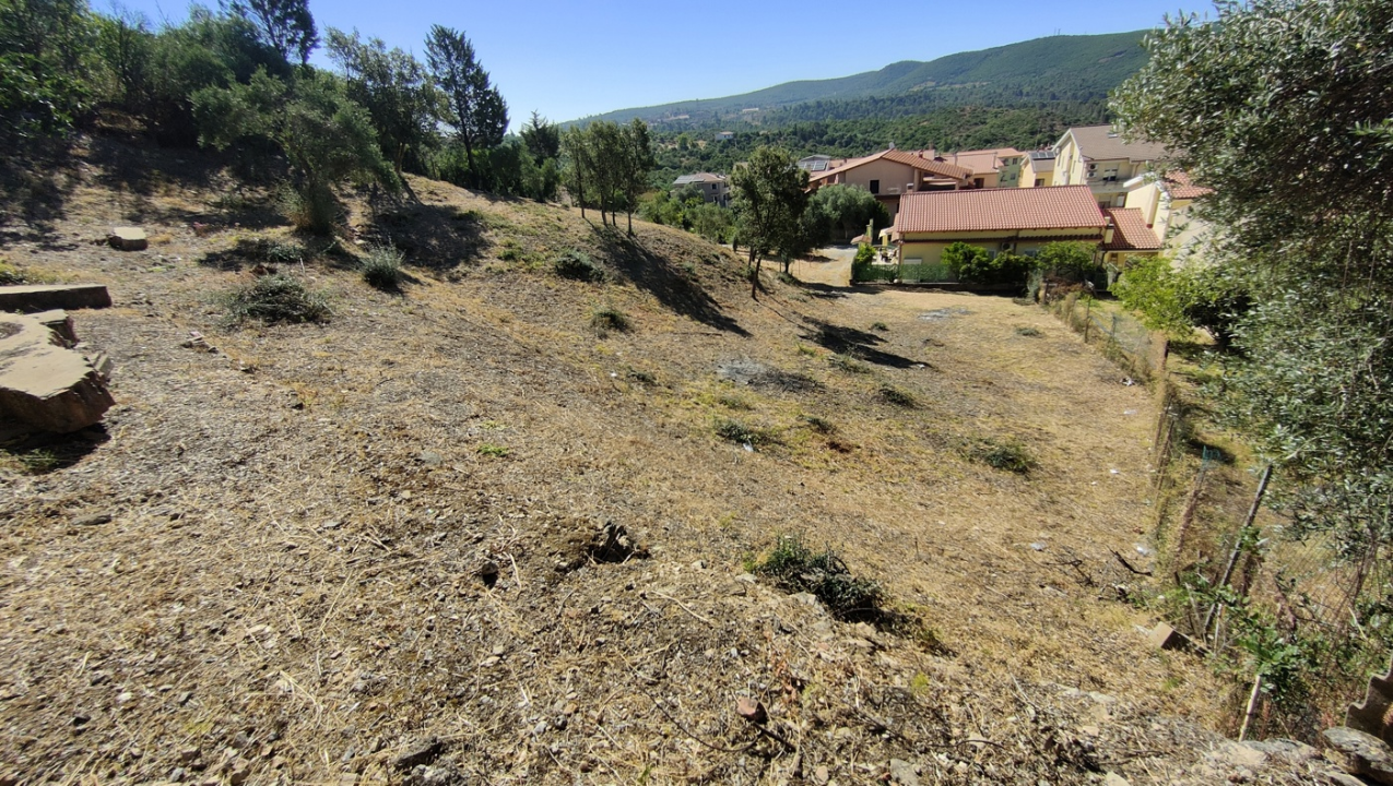 Terreno - Image 9
