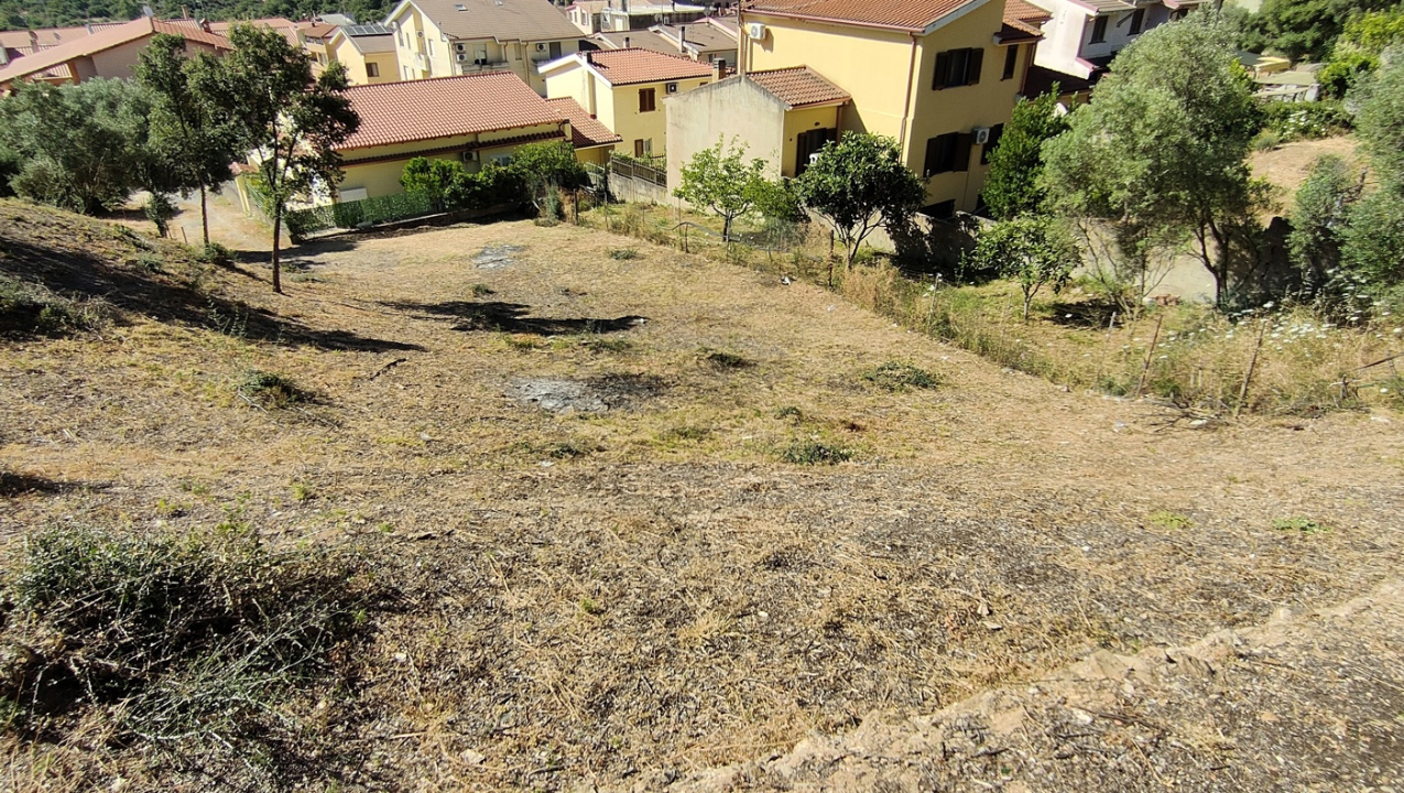 Terreno - Image 8
