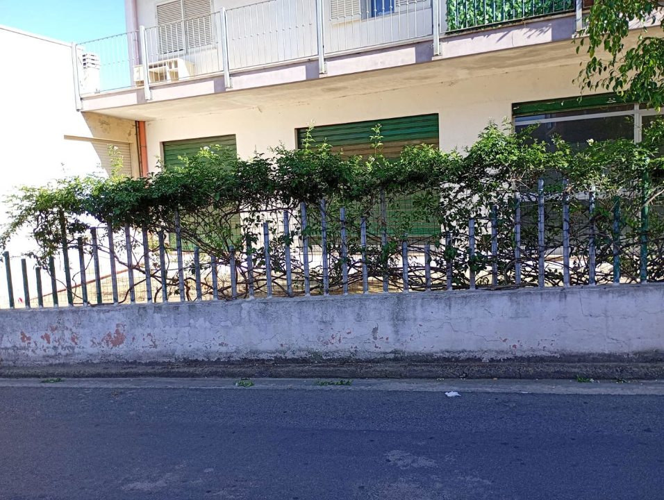 Attività - Image 2