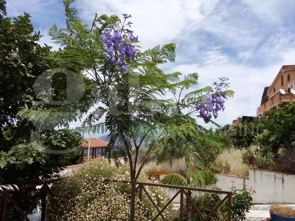 Appartamento - Image 8