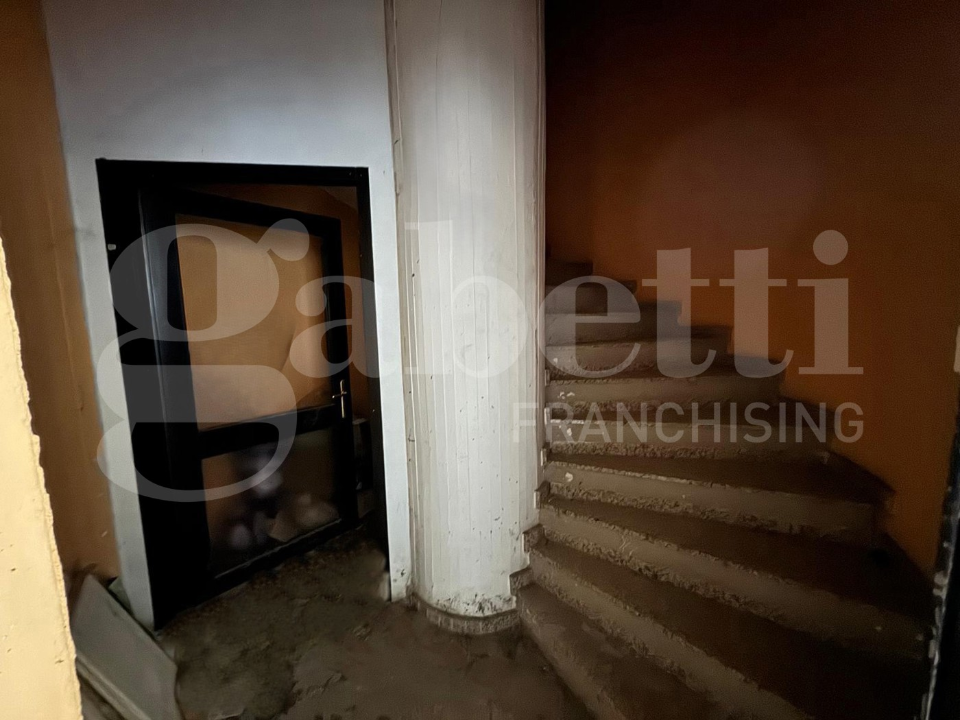 Laboratorio - Image 8