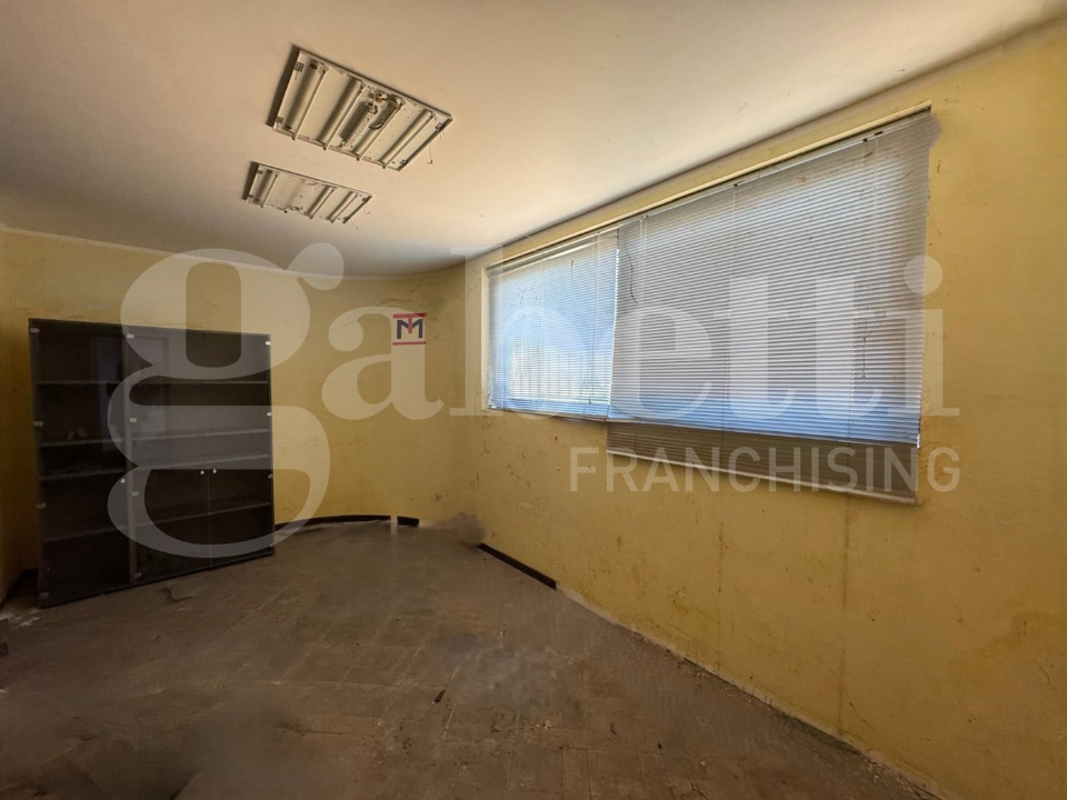 Laboratorio - Image 6