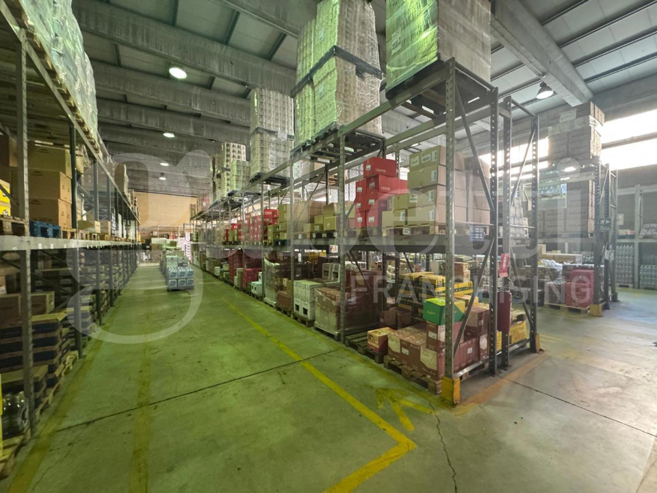 Capannone - Image 16