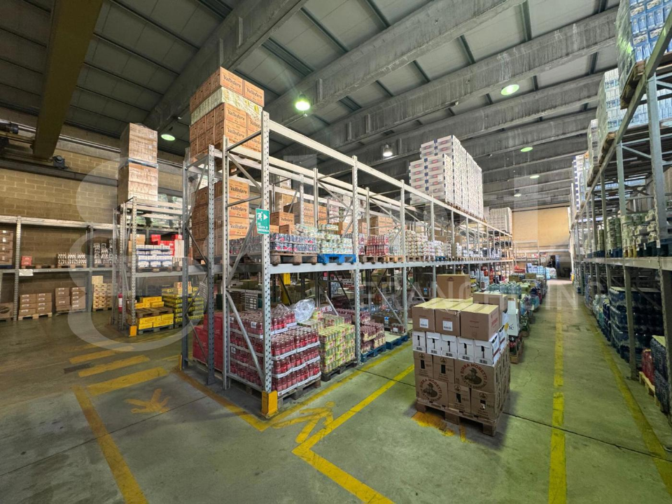 Capannone - Image 14