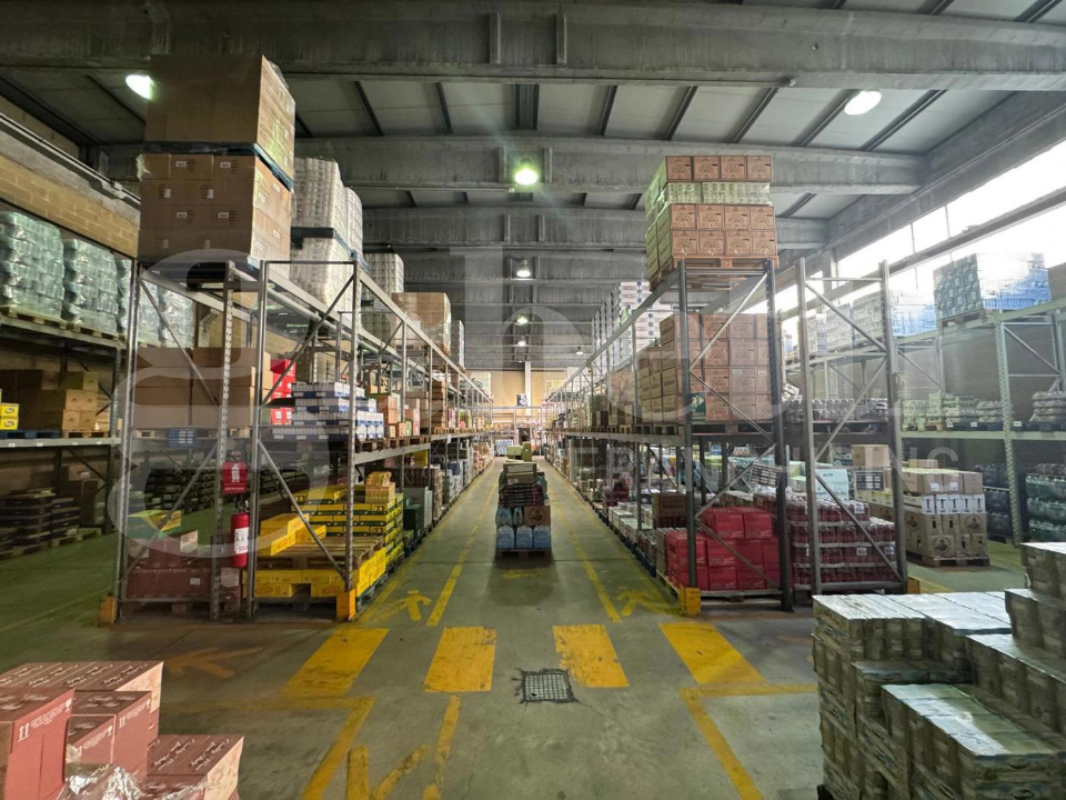 Capannone - Image 12