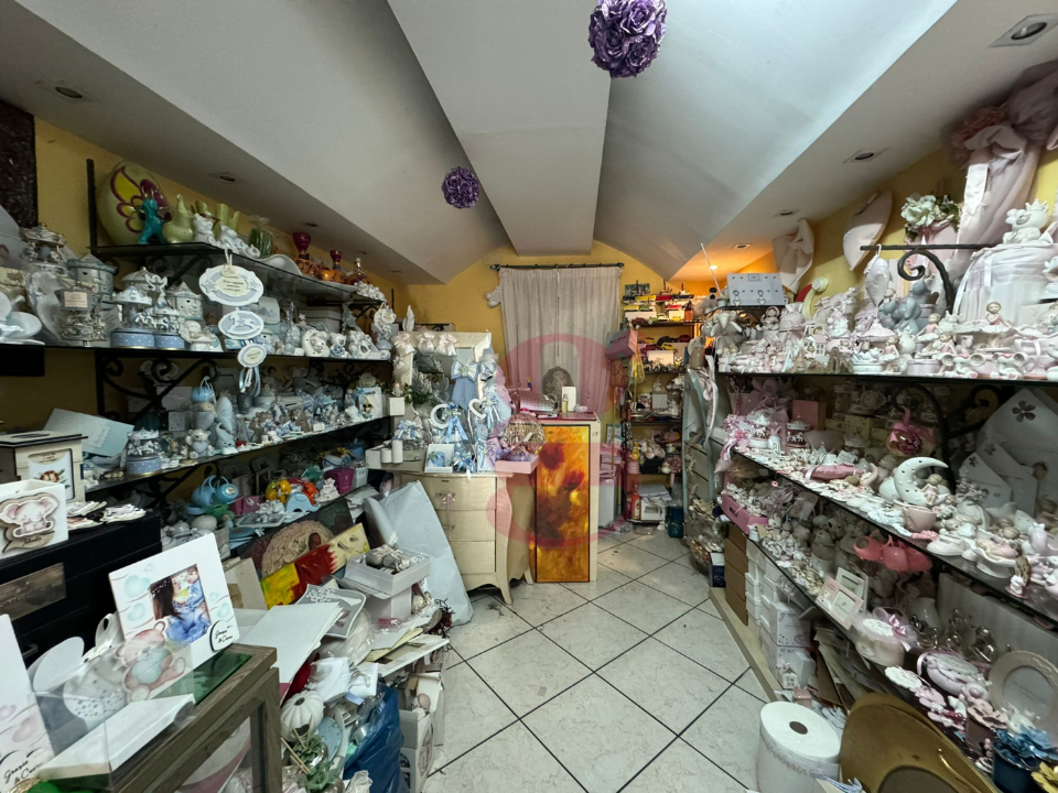 Attività - Image 5