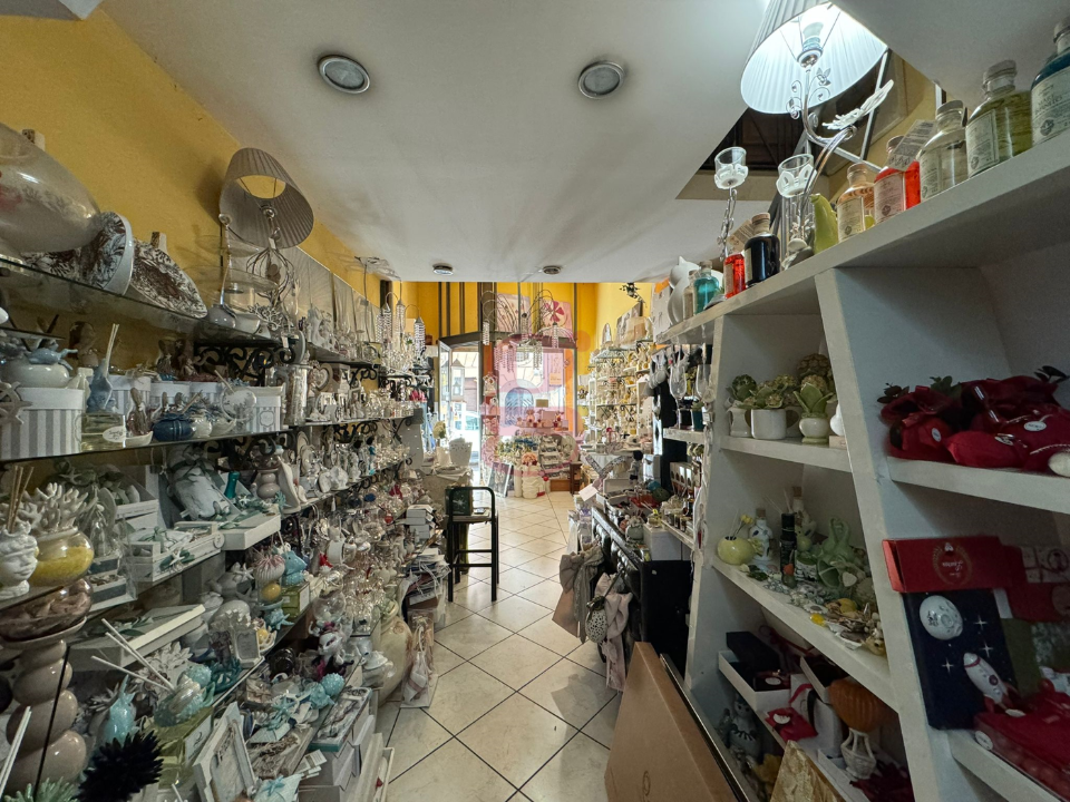 Attività - Image 8