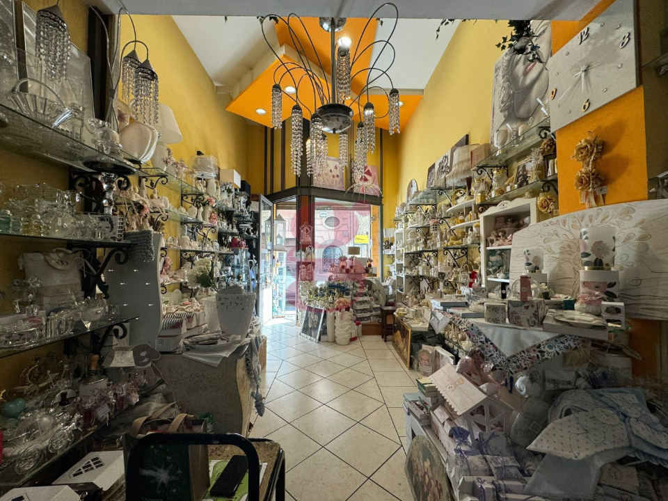 Attività - Image 10