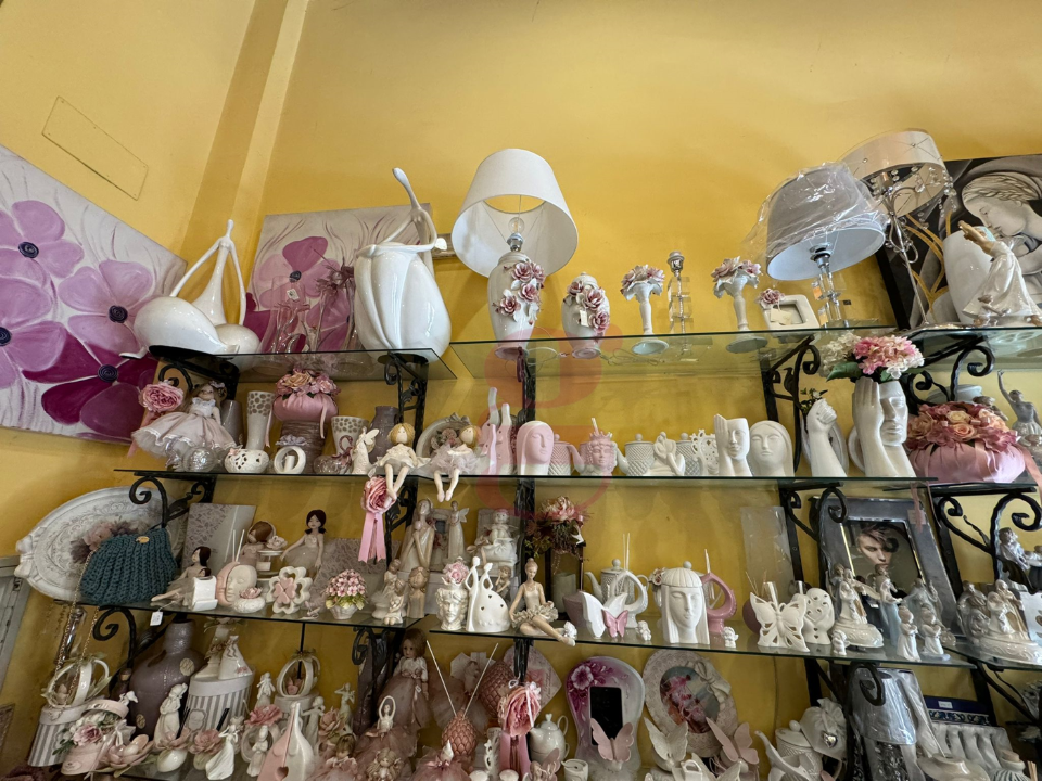 Attività - Image 6