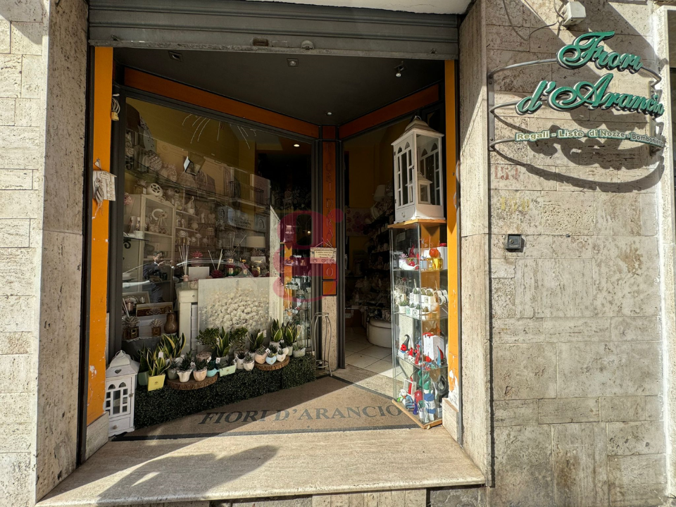 Attività - Image 2