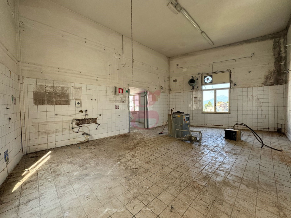 Attività - Image 13