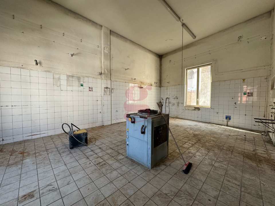 Attività - Image 14