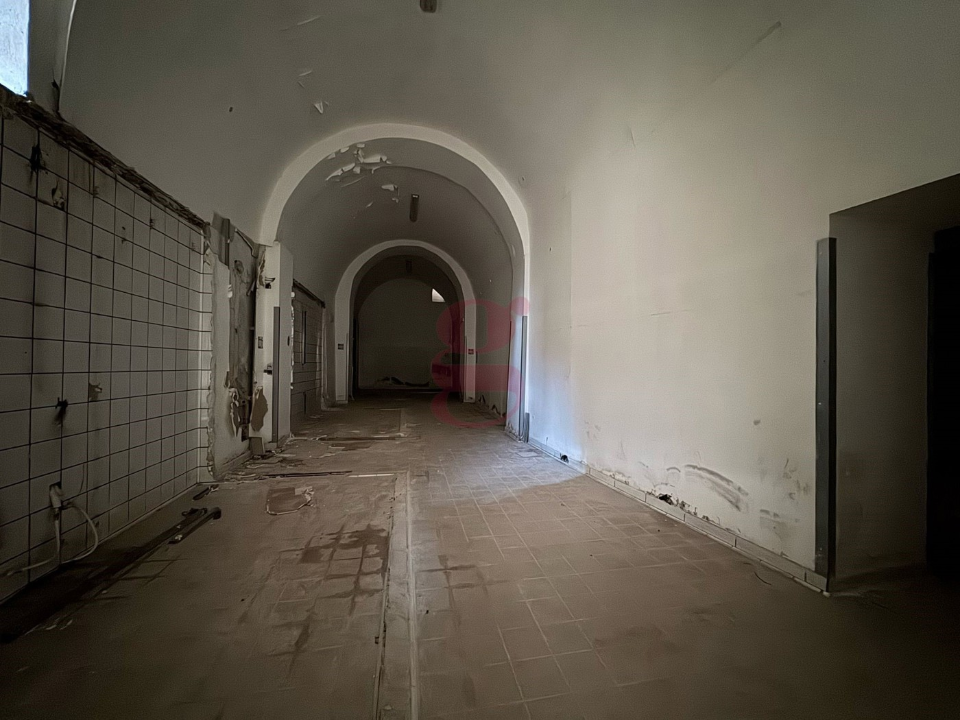 Attività - Image 17