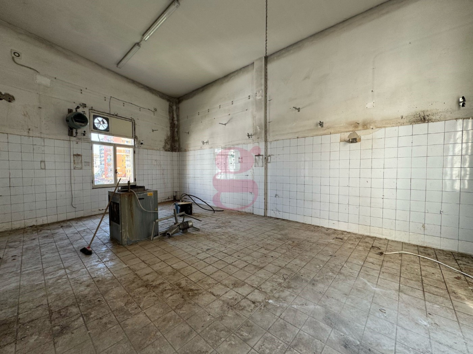 Attività - Image 15