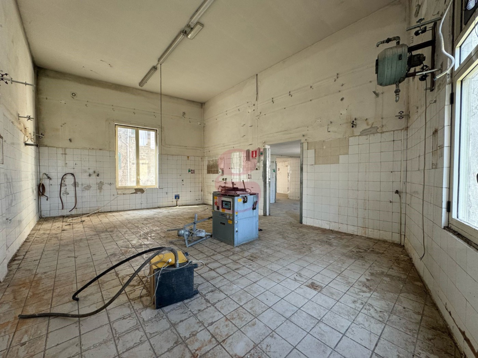 Attività - Image 12