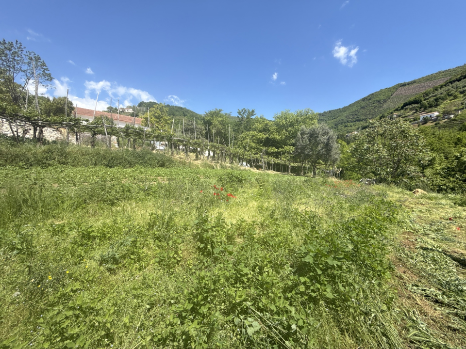 Casa Indipendente - Image 32