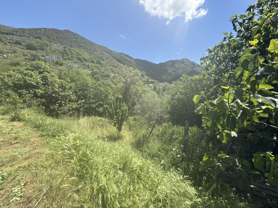 Casa Indipendente - Image 33