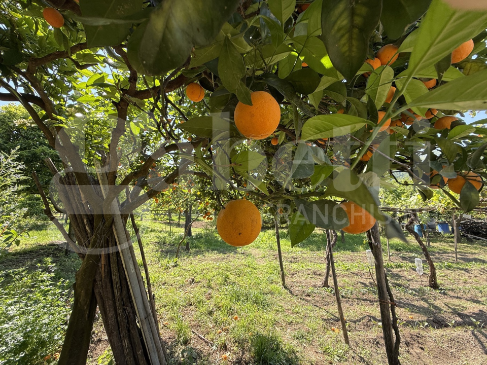 Casa Indipendente - Image 24