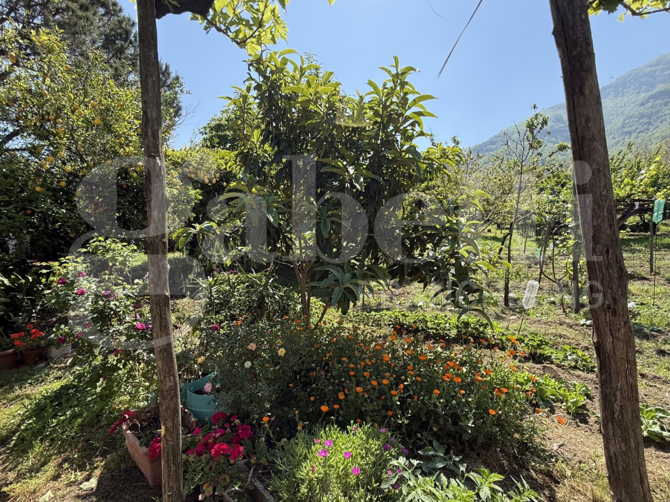 Casa Indipendente - Image 12