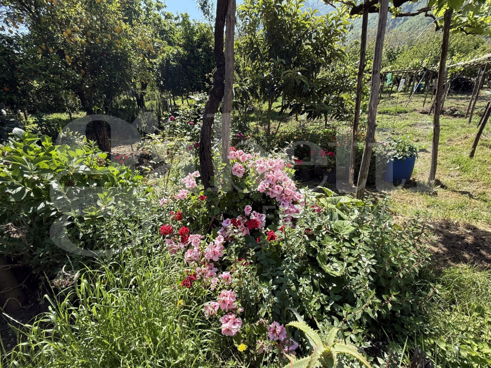 Casa Indipendente - Image 22